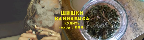 ГАЛЛЮЦИНОГЕННЫЕ ГРИБЫ Луховицы
