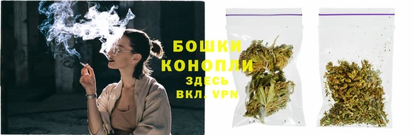 ГАЛЛЮЦИНОГЕННЫЕ ГРИБЫ Луховицы