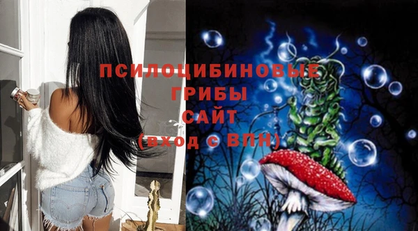 гидра Переславль-Залесский