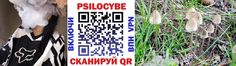 Галлюциногенные грибы прущие грибы Старая Купавна