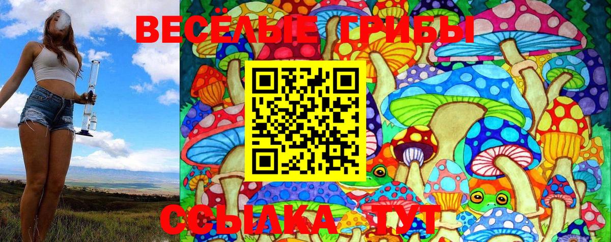 Псилоцибиновые грибы Psilocybine cubensis  Вход с VPN  Псилоцибиновые грибы Cubensis  Старая Купавна 